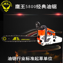 鹰王（YINGWANG TOOLS） 大功率油锯伐木锯配18/20寸导板链条送20件赠品 标配+鹰王链条一根+进口机油