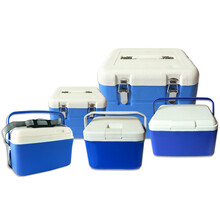 窝窝猪（WOWOZHU） 保温箱 冷藏箱 车载便携医用药品运输箱 母乳保鲜箱 胰岛素疫苗箱 13L 冷藏箱