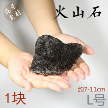 黑棕色火山岩熔岩石鱼缸水族箱造景装饰素材绑莫斯水草辣椒榕 L号大块1块(约7-11cm)