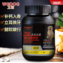 卫冠WGDOG狗狗钙片健骨补钙通用小大型犬宠物金毛狗吃的钙片幼犬专用泰迪狗用钙片补钙猫咪边牧拉布拉多 一瓶益生菌380片幼犬提高抵抗力，调理肠胃
