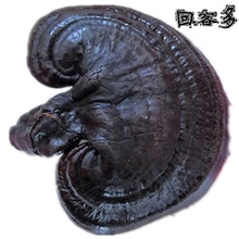 【回客多】250克长白山灵芝 东北特产紫芝 赤芝可切片每份250克 免费切片泡茶泡酒料