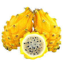 【黄心火龙果】价格_图片_品牌