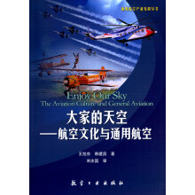通用航空产业发展丛书·大家的天空：航空文化与通用航空