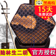 依之木 陆林生二胡 三星黑酸枝二胡 专业演奏二胡乐器