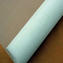 泰西丝 沙网 防虫网 蔬菜果蔬防虫多肉植物大棚防虫网 全新料抗老化 1米的价格 2米宽 50目