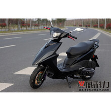 【鬼火前壳】价格_图片_品牌