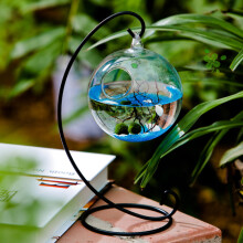孙凯海藻球创意迷你办公室桌面球藻盆栽 水培植物微景观生态瓶 12cm吊瓶+铁架/不含海藻球及装饰