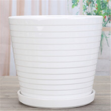 裕轩堂 纯白色新款陶瓷盆特大号室内简约个性带托盘绿萝吊兰花盆批发家用室内阳台绿植盆 127/白 特大21厘米左右