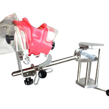 【口腔牙模型】价格_图片_品牌