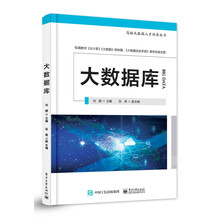 大数据库——高级大数据人才培养丛书