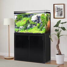 森森 鱼缸水族箱底过滤高清玻璃金鱼缸含灯过滤器小鱼缸 0.5米长30cm宽53.5cm缸高 底滤黑色