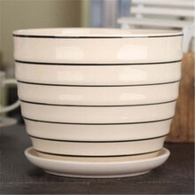 花无痕 陶瓷花盆 简约中国风陶瓷花盆白瓷花盆花盘带托盘 盆栽绿植花盆 景德镇陶瓷花盆 古风花盆 黑细纹 中号