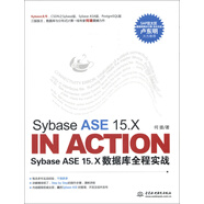 Sybase ASE 15.X In Action：Sybase ASE 15.X数据库全程实战