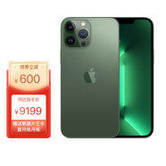 Apple iPhone 13 Pro Max (A2644) 256GB 苍岭绿色 支持移动联通电信5G 双卡双待手机【赠大王卡首月免月租】