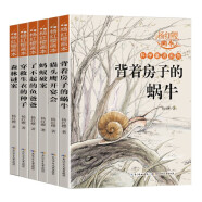 杨红樱画本科学童话系列全6册中国童话故事童话集小学生课外书杨红樱作品 课外阅读 暑期阅读 课外书