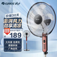 格力（GREE）风扇五叶家用落地扇节能广角电风大风量立式定时易拆洗摇头柔风电扇 （FD-4010-WG）