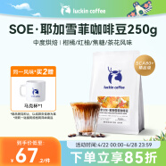 瑞幸咖啡咖啡豆 SOE耶加雪菲咖啡豆250克/袋 中烘门店同源小黑杯精品生豆