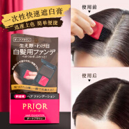 资生堂（Shiseido）日本资生堂prior一次性黑发植物染发笔棒遮盖白发神器发际线膏粉 黑色