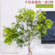 临雅水培植物白玉兰花卉绿植室内水养带花苞花束海棠花鲜切花干支雪柳 绿色千层金一束3枝70cm-80cm