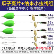 FAISOX路亚假饵微物飞蝇钩钓组绑好瓜子亮片成品助投器马口翘嘴专用套装 实战纳米虫-5副（罗非白条）