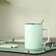 无泥（WUNI） ins北欧莫兰迪马克杯子带盖勺简约哑光撞色陶瓷创意奶茶家用水杯 抹茶绿-宝马杯 配盖勺