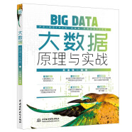 大数据原理与实战图文详解  chatgpt聊天机器人人工智能分布式非关系型数据库架构Hadoop Hbase Hive Spark Flink ETL Kafka大数据分析机器深度学习大数据技术架构