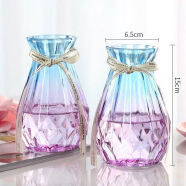欧式玻璃花瓶家居装饰品客厅摆件插干花 水培富贵竹陶瓷花瓶摆件 新喏(15蓝紫色)2个 促销+送精美丝带