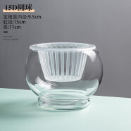 水培植物玻璃瓶透明玻璃花瓶容器绿萝花盆圆球形鱼缸水养大号器皿 15D圆球花瓶-水培
