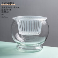 水培植物玻璃瓶透明玻璃花瓶容器绿萝花盆圆球形鱼缸水养大号器皿 18D圆球花瓶-水培
