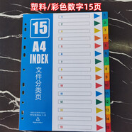 随心发A4分类纸分隔纸活页分类索引纸隔页索引页分割隔页纸分页文件标签财务人事资料a4塑料索引卡分页纸 塑料彩色数字15页