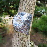 盆景伤口锡纸锡纸带胶铝箔胶带树木制作工具切口保温促进愈合 宽5cm长17米一卷