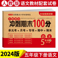 小学五年级语文试卷下册RJ人教版名师教你期末冲刺100分单元月考专项期中期末测试卷总复习模拟试卷密卷