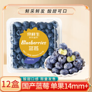 京鲜生 国产蓝莓 12盒 14mm+ 新鲜水果礼盒 源头直发 包邮