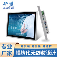 研盟（YANMENG） 工控触摸一体机工业平板电脑自动化PLC组态宽压六串电容触摸屏一体机显示器 模块化赛扬6305系列/4G+64G 15寸