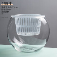 水培植物玻璃瓶透明玻璃花瓶容器绿萝花盆圆球形鱼缸水养大号器皿 25圆球花瓶-水培