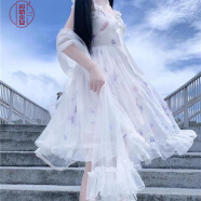 洛丽塔2020秋款萝莉塔厂原创设计日系洋装公主裙女学生学院风连衣裙女Lolita 白色jsk 均码