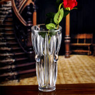 BOHEMIA捷克进口透明水晶玻璃花瓶波西米亚北欧式创意大干花餐桌水培水养客厅插花摆件花艺花器 230mm