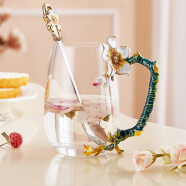 诺诗曼高级感颜值水杯玻璃杯泡茶带把耐高温 生日礼物送女友情人节新年