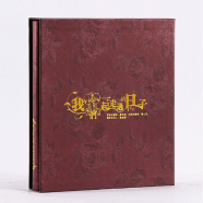 相册 过塑5寸6寸7寸横版竖版混装插页式大容量200张插袋相册本儿童宝宝成长纪念册家庭影集相册薄像册 我们一起走过的日子 8寸200张