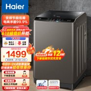 海尔（Haier）波轮洗衣机全自动家电 以旧换新 脱水机 内衣除菌 直驱变频 10公斤大容量22Mate2