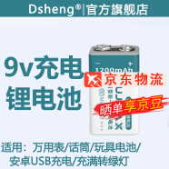 Dsheng适用9V充电电池1200mA万用表吉他仪表九伏方块6F22锂离子电池USB直充1017 PJ-N9002【两槽9V】充电器
