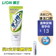 狮王（Lion）日本进口粒子净洁立式MAX薄荷牙膏140g 水果薄荷*1支