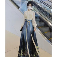丹珠娜（DanZhuNa）马面裙女装套装国风2024年春装新款汉元素改良汉服明制衬衫连衣裙 上衣 S(80-99斤)