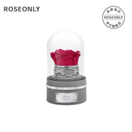 roseonly诺誓星座独角兽抱抱龙永生花玫瑰花音乐球送女友生日圣诞节礼物 白羊座-音乐球-钟罩-守护色