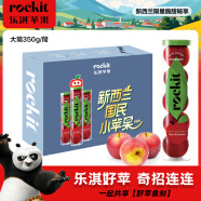 乐淇（ROCKIT）新西兰火箭筒苹果 6筒礼盒 大筒350g起 5粒/6筒 水果礼盒年货礼盒