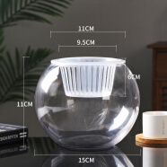 泰西丝 玻璃花瓶创意水培植物玻璃花瓶透明水养绿萝花盆容器插花瓶圆球形鱼缸器皿 (15圆球)+（定植蓝） 中等 不含绿植