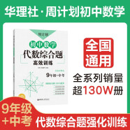 周计划：初中数学代数综合题高效训练（9年级+中考）