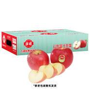佳农 烟台红富士苹果 12个装 单果重约200g 新鲜水果 年货礼盒