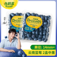 怡颗莓Driscoll's  当季云南蓝莓14mm+ 2盒装 125g/盒 新鲜水果
