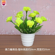 室内花艺排行榜 室内花艺十大排名推荐 京东 室内花艺排行榜 室内花艺十大排名推荐 京东